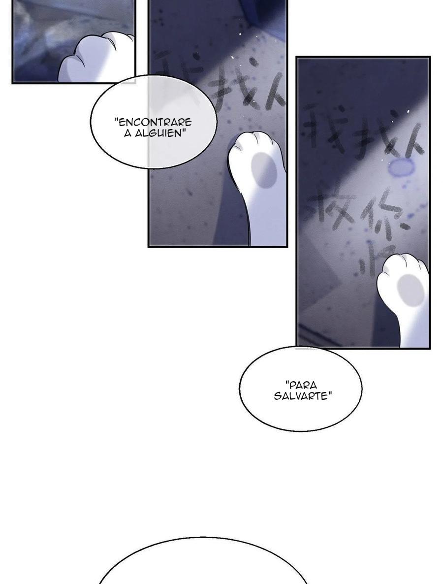 Tengo que trabajar duro para ser un gato hoy! - capitulo 54 manhwa