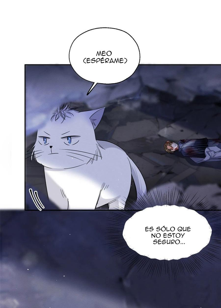 Tengo que trabajar duro para ser un gato hoy! - capitulo 54 manhwa