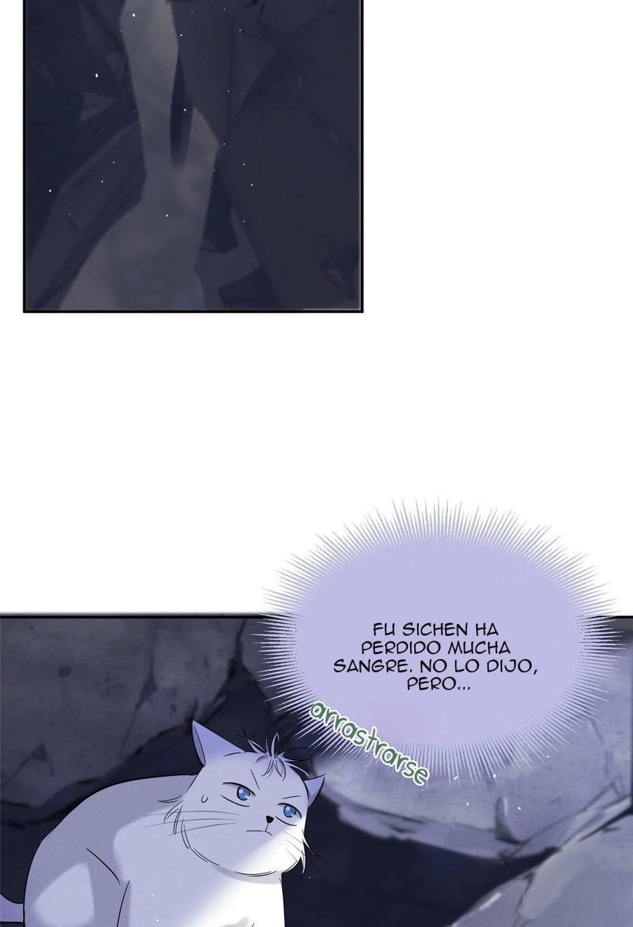 Tengo que trabajar duro para ser un gato hoy! - capitulo 54 manhwa