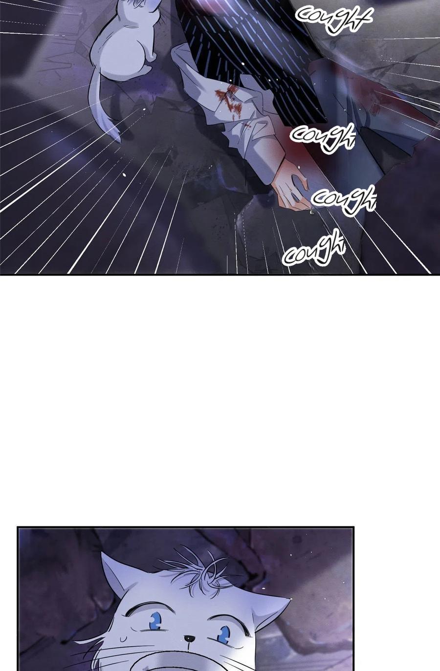 Tengo que trabajar duro para ser un gato hoy! - capitulo 54 manhwa
