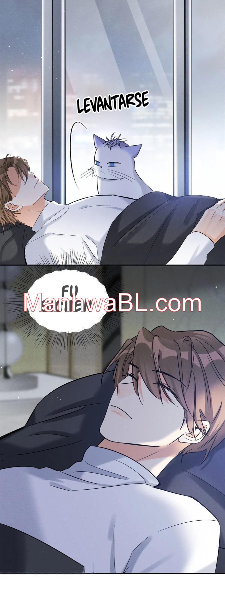 Tengo que trabajar duro para ser un gato hoy! - capitulo 44 manhwa