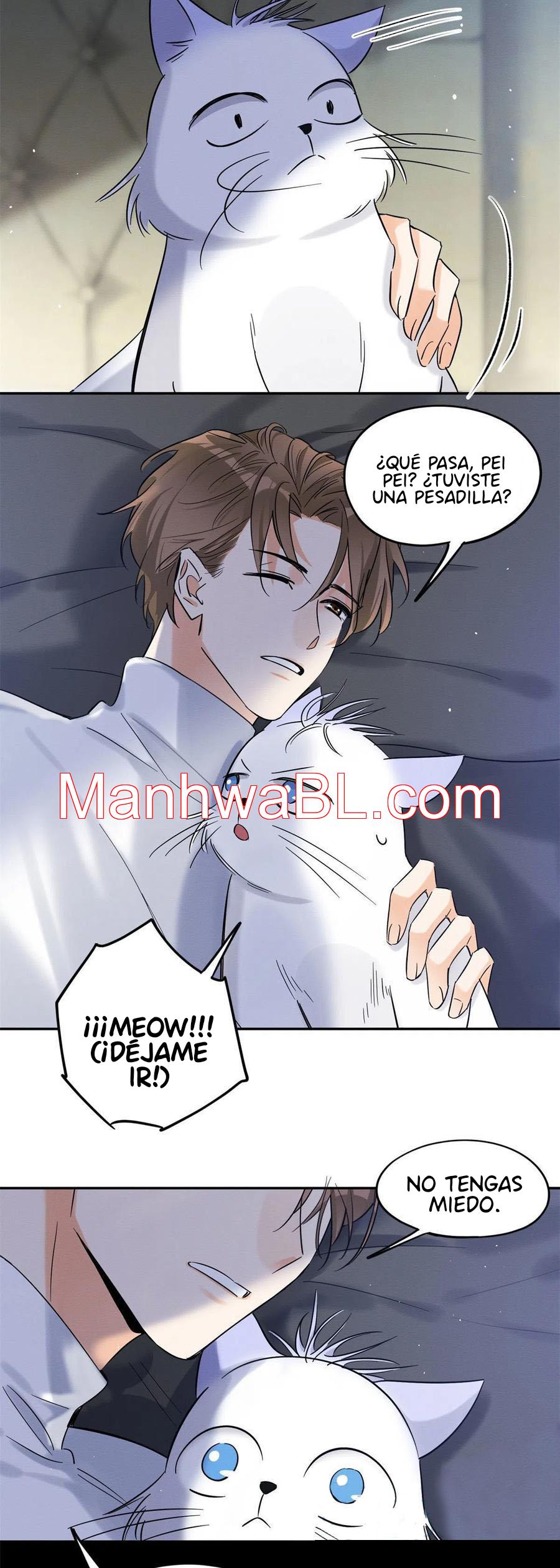 Tengo que trabajar duro para ser un gato hoy! - capitulo 44 manhwa