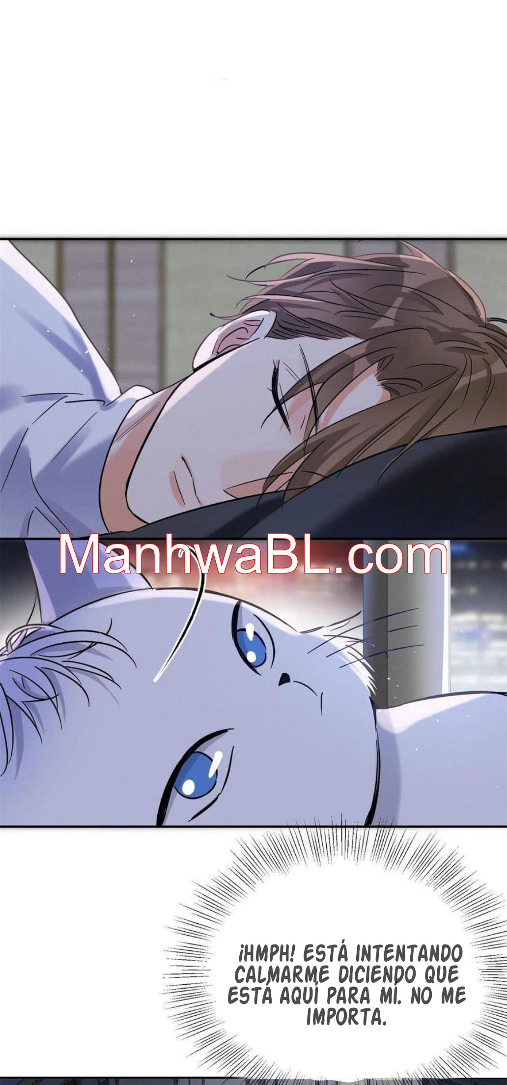 Tengo que trabajar duro para ser un gato hoy! - capitulo 44 manhwa