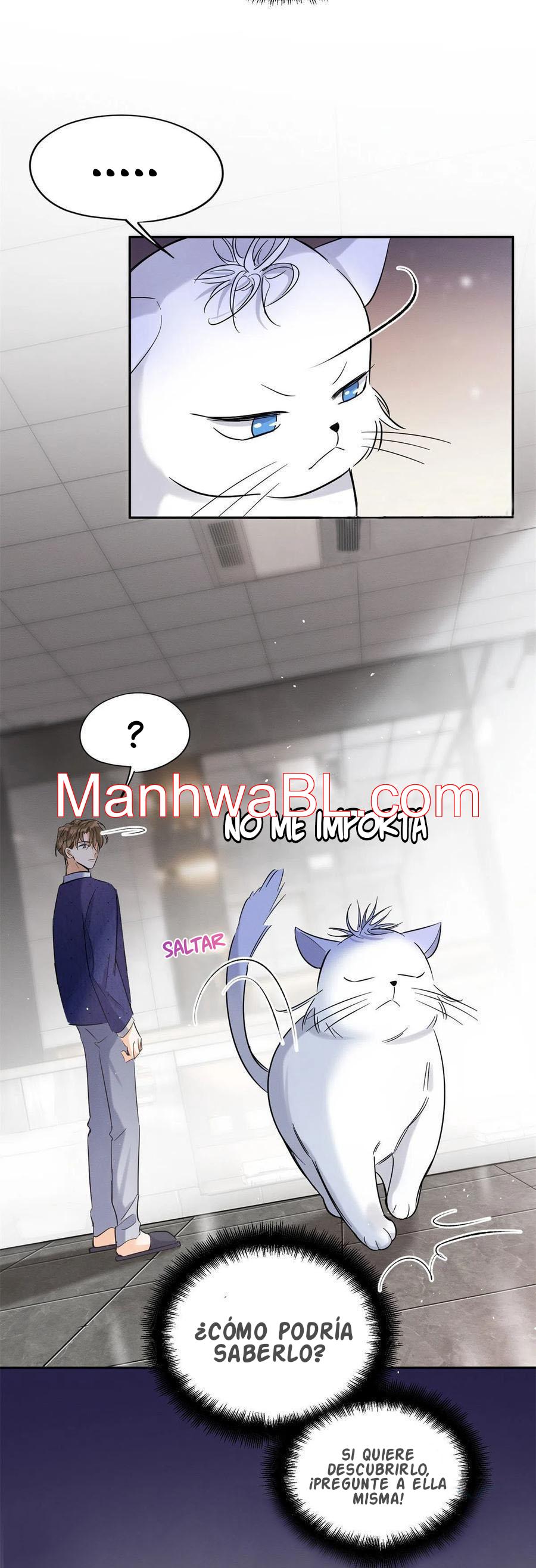 Tengo que trabajar duro para ser un gato hoy! - capitulo 44 manhwa