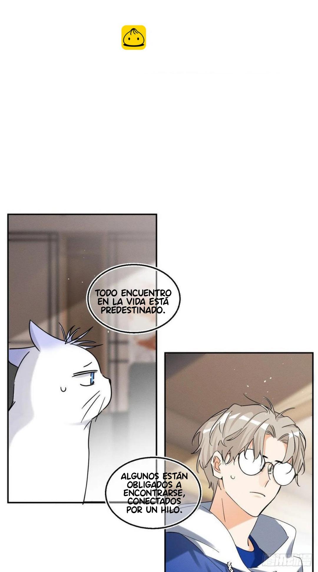 Tengo que trabajar duro para ser un gato hoy! - capitulo 49 manhwa
