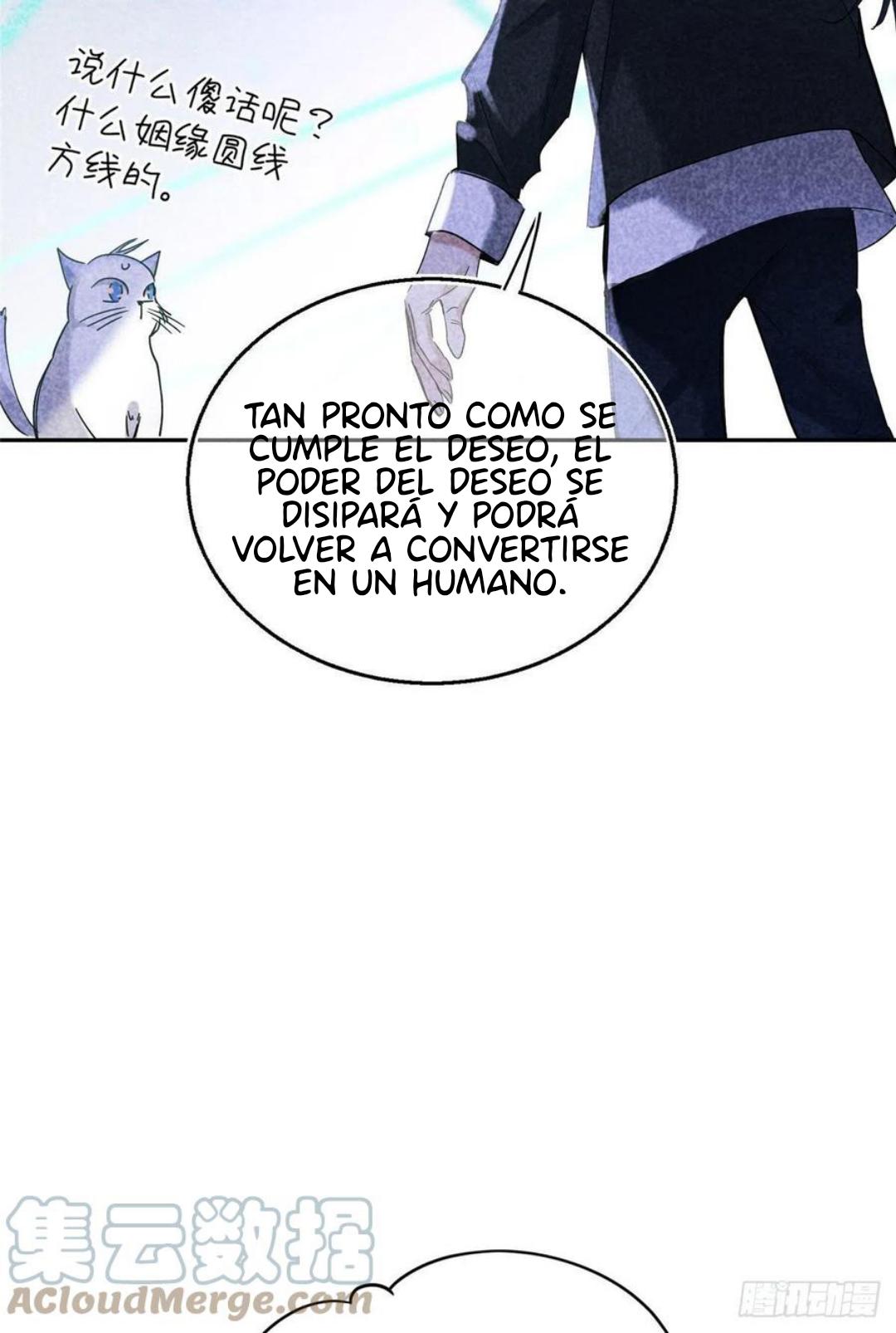 Tengo que trabajar duro para ser un gato hoy! - capitulo 49 manhwa