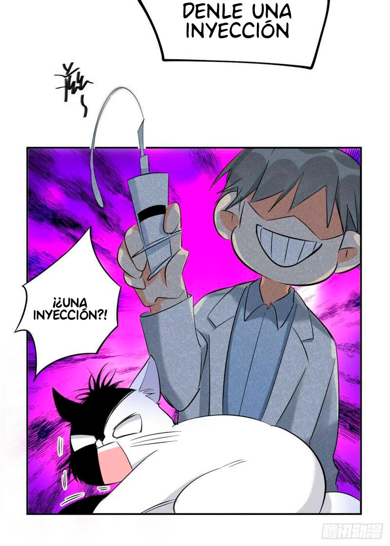 Tengo que trabajar duro para ser un gato hoy! - capitulo 35 manhwa