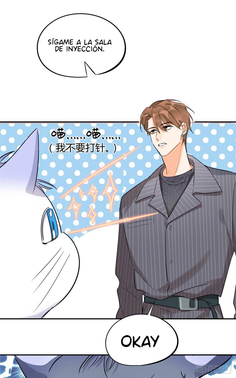 Tengo que trabajar duro para ser un gato hoy! - capitulo 35 manhwa
