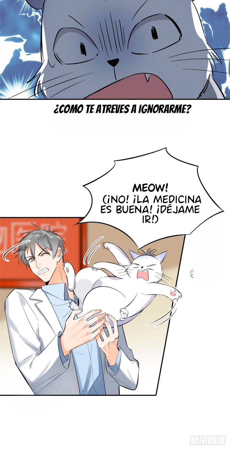 Tengo que trabajar duro para ser un gato hoy! - capitulo 35 manhwa