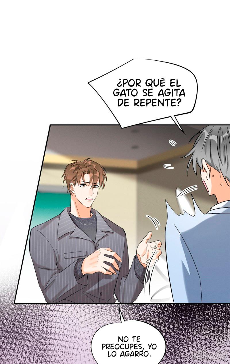 Tengo que trabajar duro para ser un gato hoy! - capitulo 35 manhwa