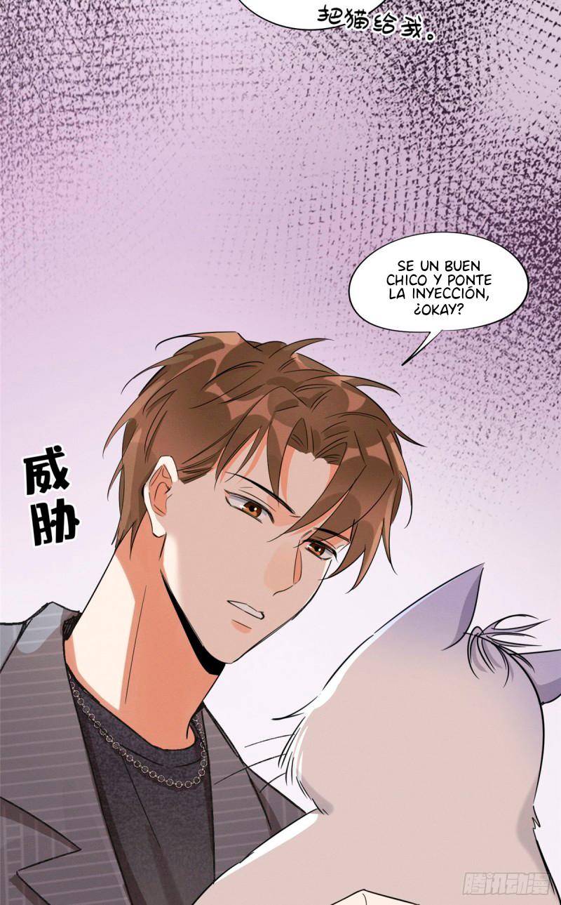 Tengo que trabajar duro para ser un gato hoy! - capitulo 35 manhwa