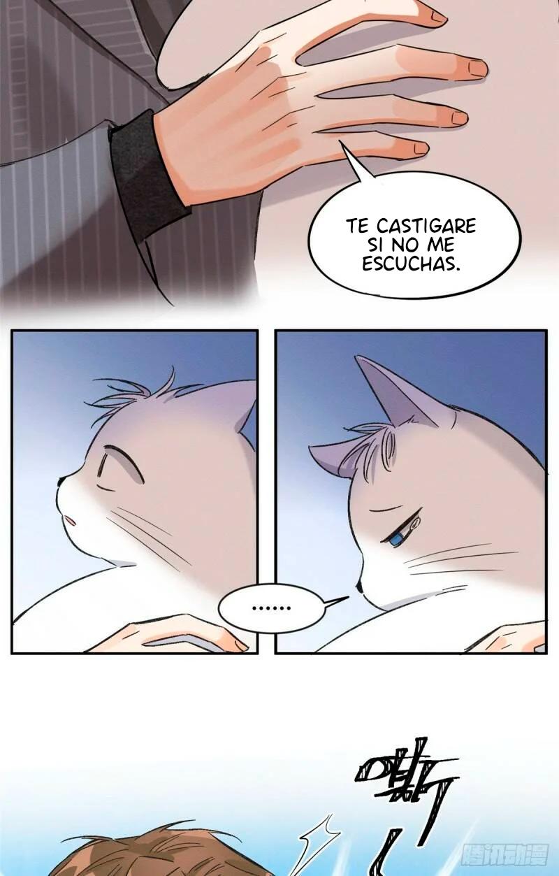 Tengo que trabajar duro para ser un gato hoy! - capitulo 35 manhwa