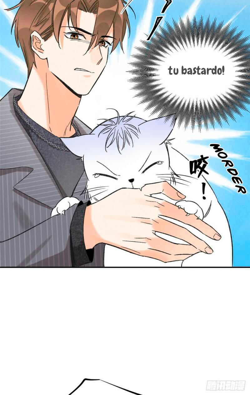Tengo que trabajar duro para ser un gato hoy! - capitulo 35 manhwa
