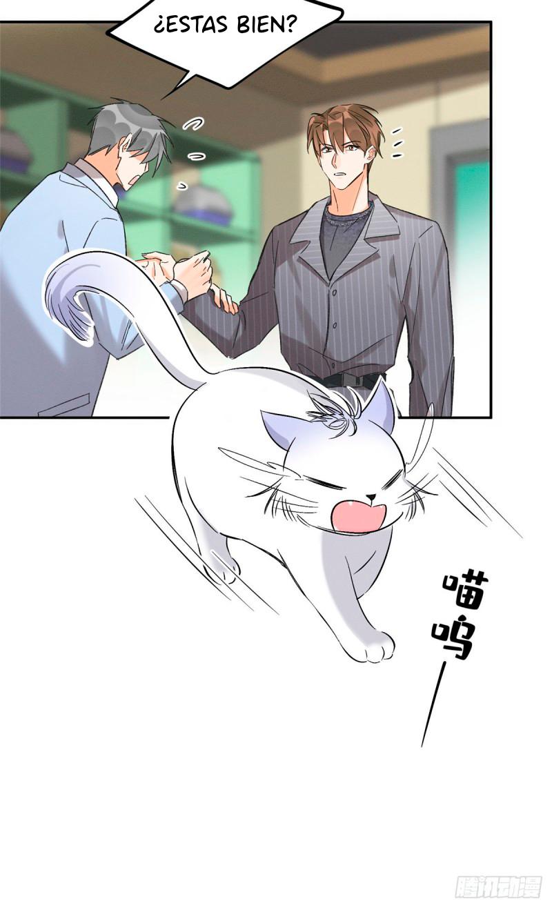 Tengo que trabajar duro para ser un gato hoy! - capitulo 35 manhwa