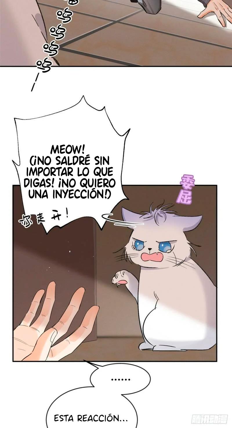 Tengo que trabajar duro para ser un gato hoy! - capitulo 35 manhwa