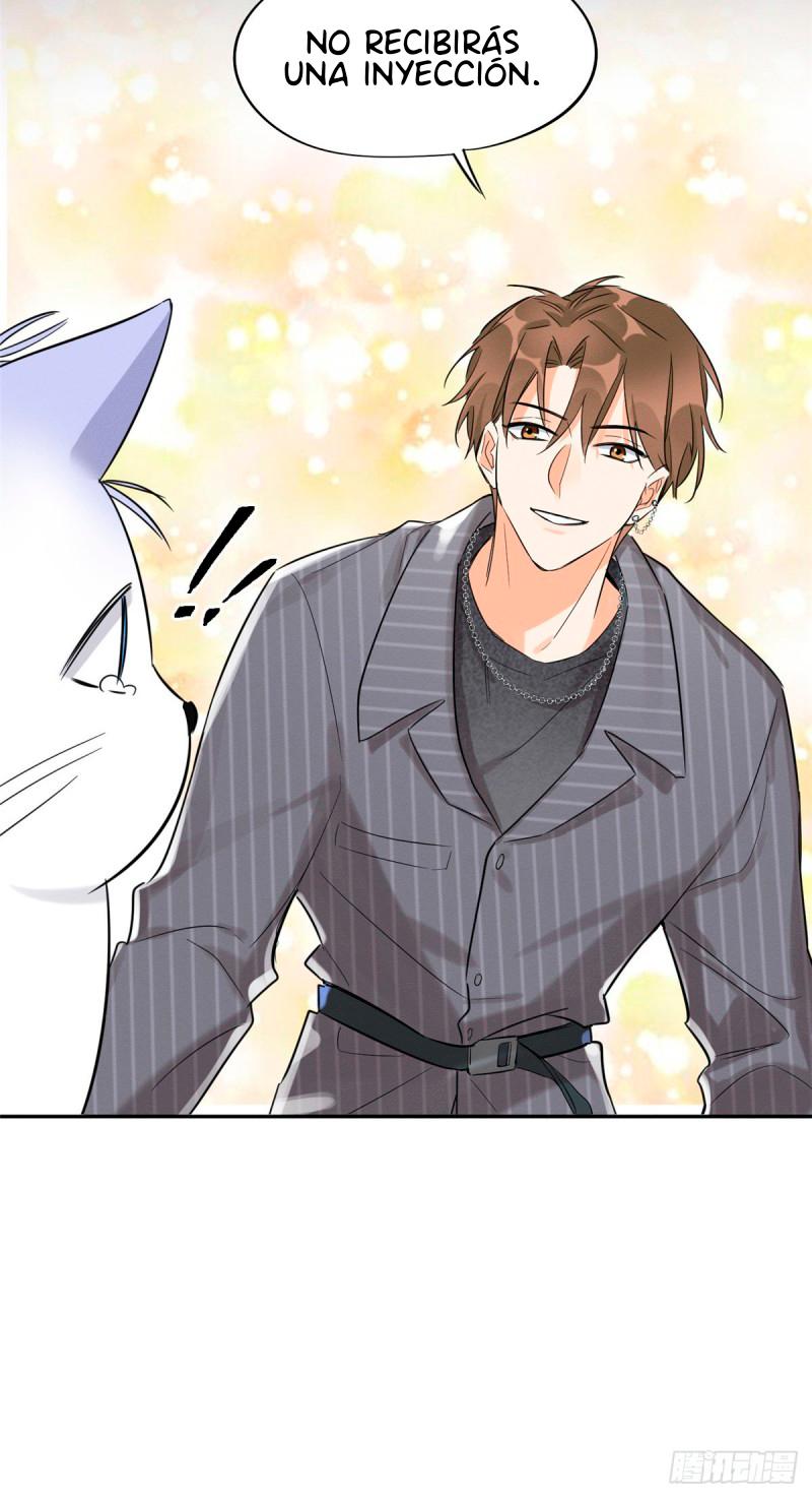 Tengo que trabajar duro para ser un gato hoy! - capitulo 35 manhwa