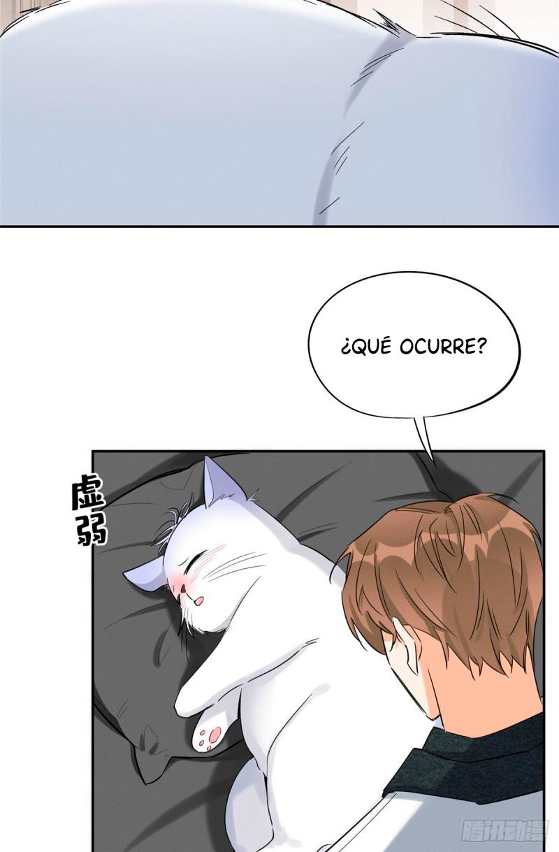 Tengo que trabajar duro para ser un gato hoy! - capitulo 35 manhwa