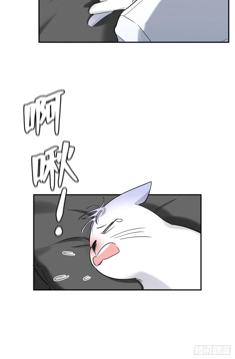 Tengo que trabajar duro para ser un gato hoy! - capitulo 35 manhwa