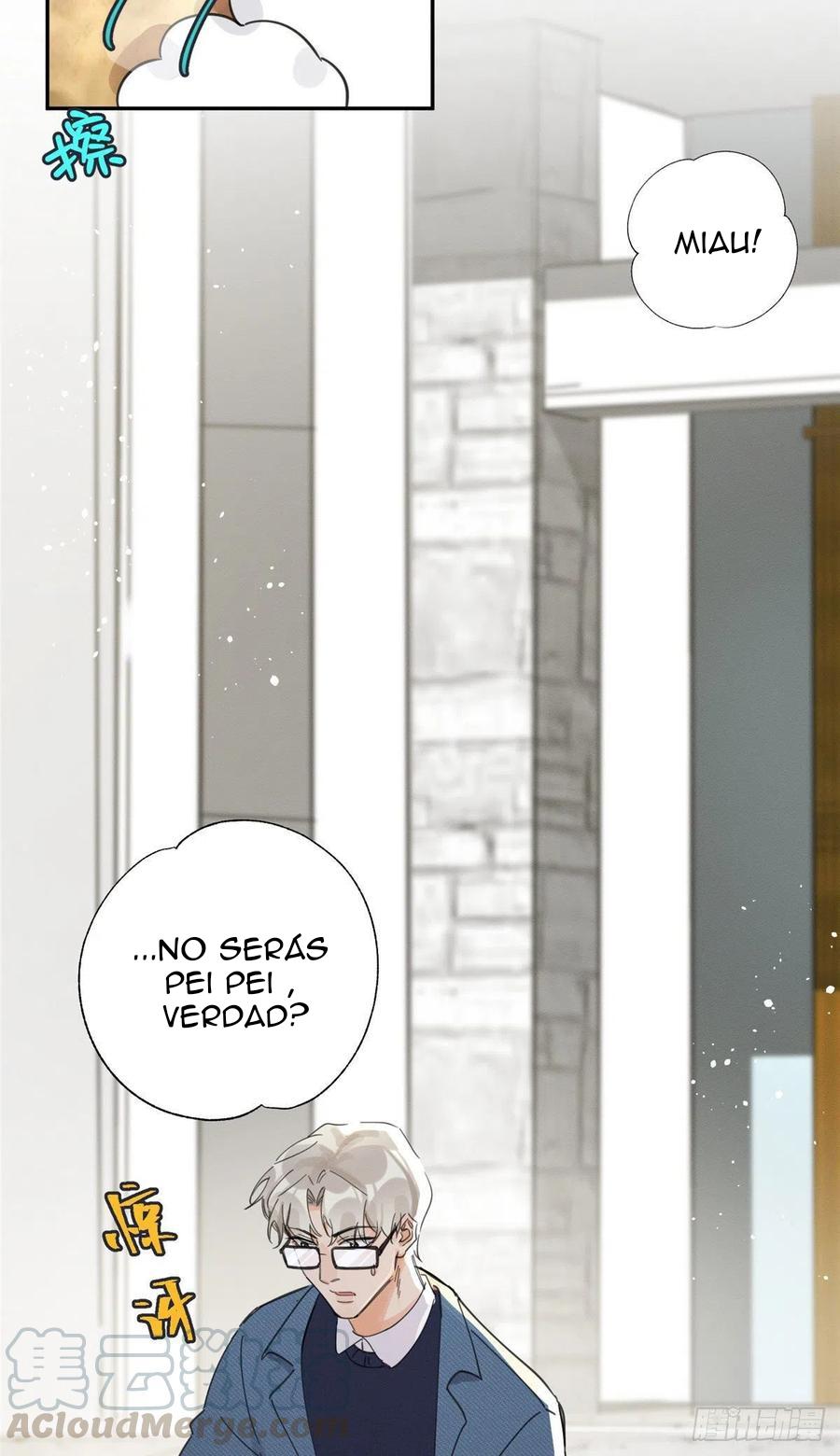 Tengo que trabajar duro para ser un gato hoy! - capitulo 9 manhwa