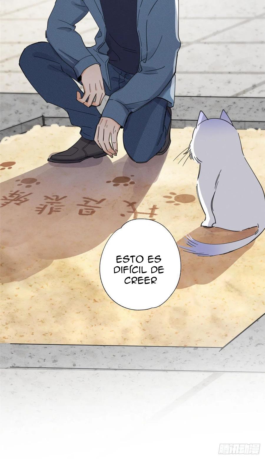 Tengo que trabajar duro para ser un gato hoy! - capitulo 9 manhwa