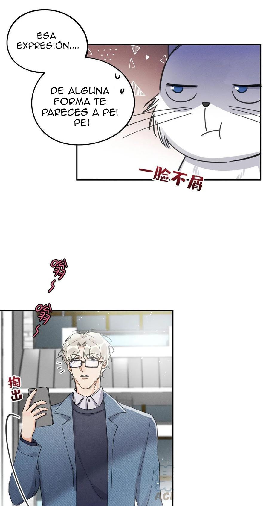 Tengo que trabajar duro para ser un gato hoy! - capitulo 9 manhwa