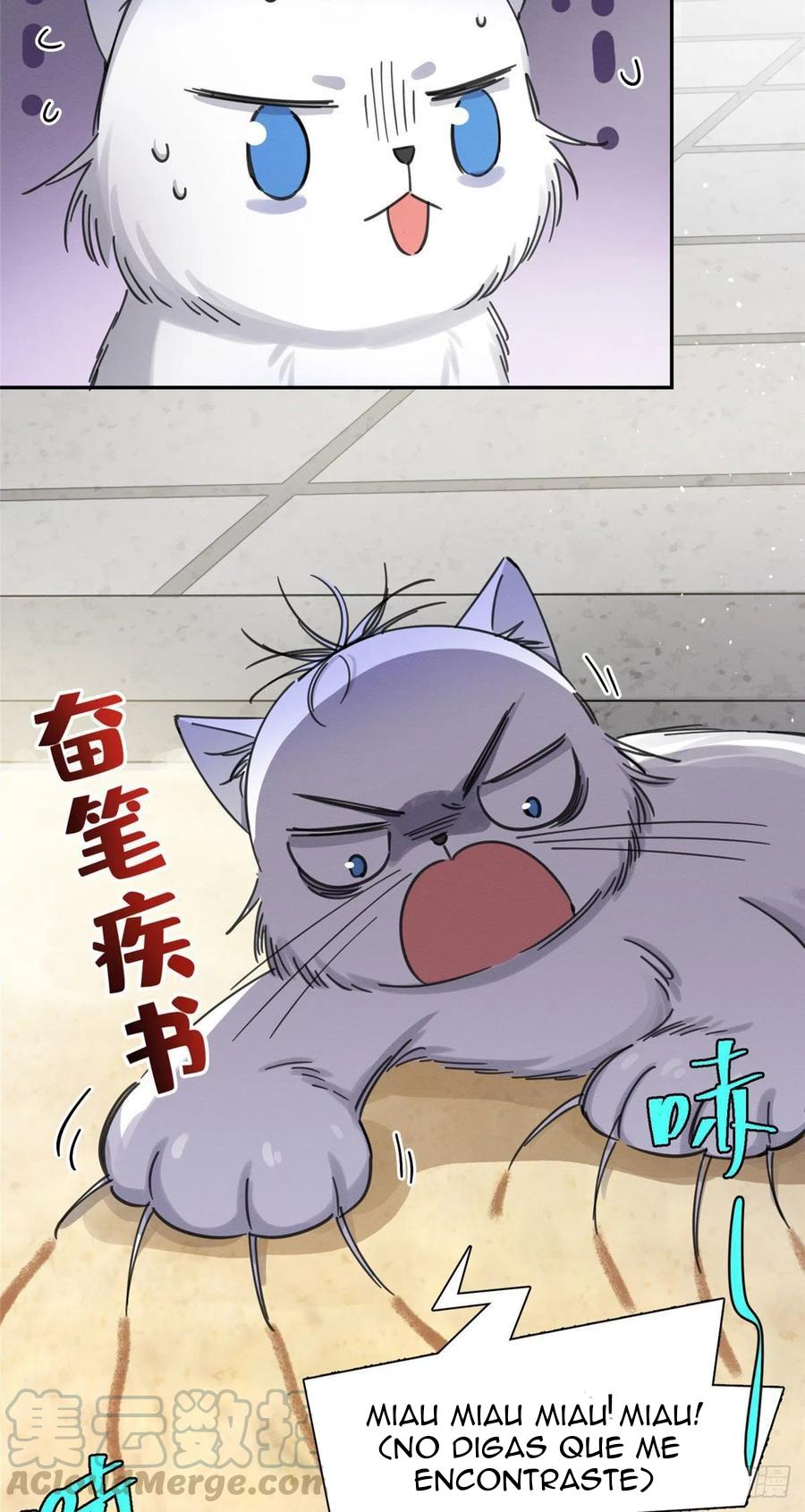 Tengo que trabajar duro para ser un gato hoy! - capitulo 9 manhwa
