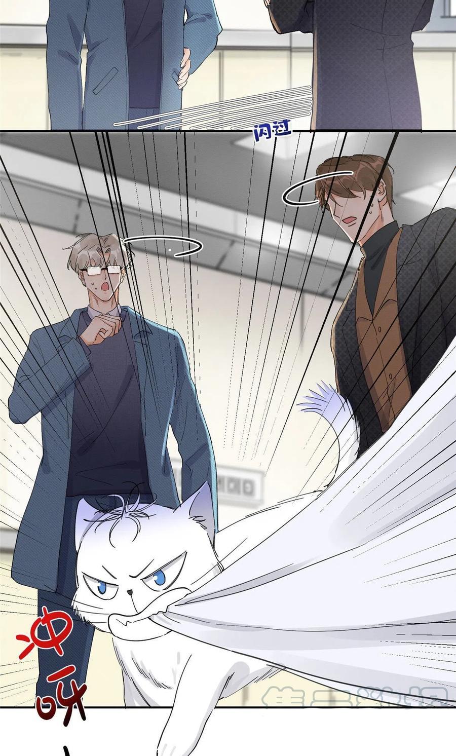 Tengo que trabajar duro para ser un gato hoy! - capitulo 9 manhwa