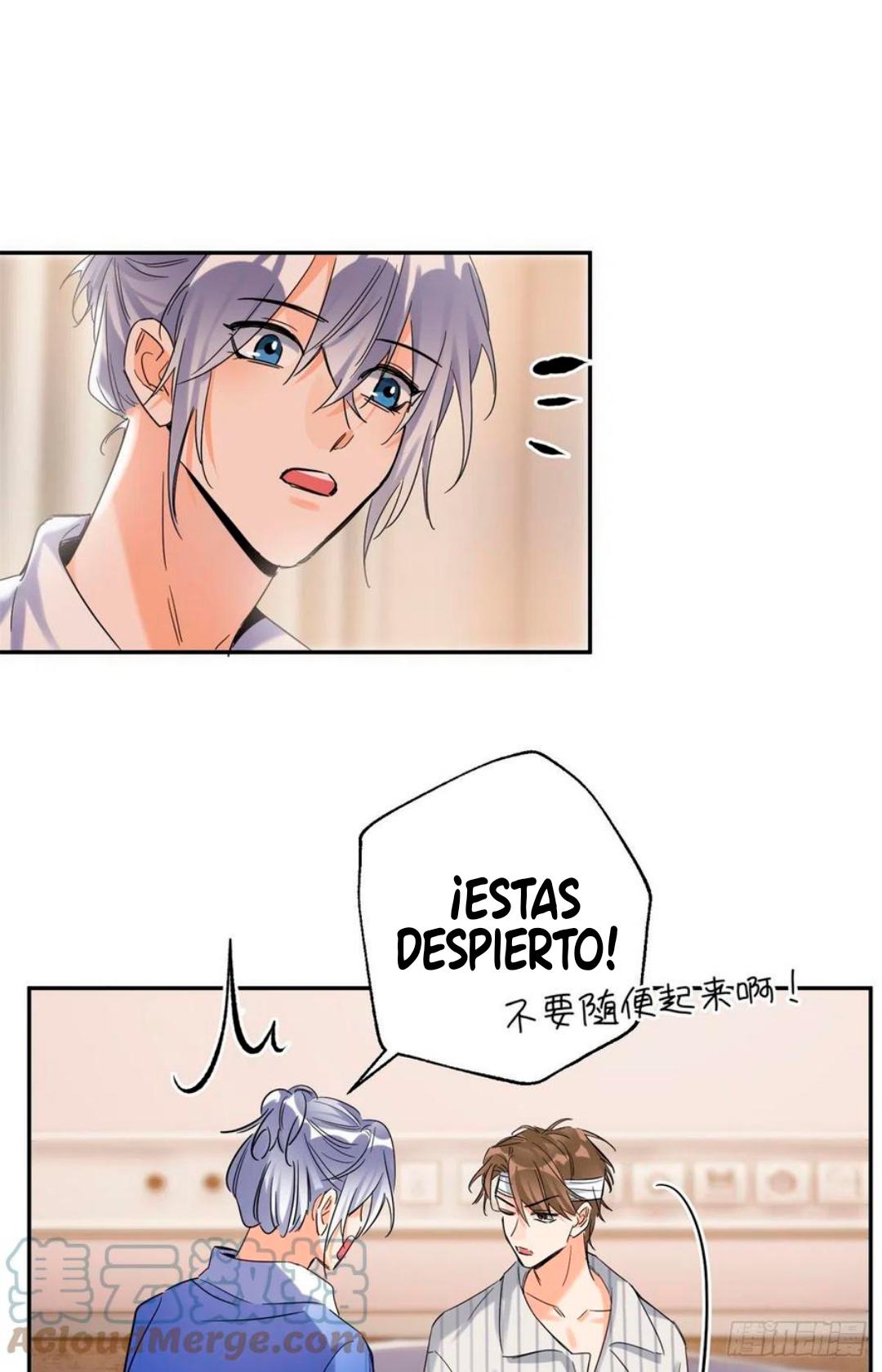 Tengo que trabajar duro para ser un gato hoy! - capitulo 55 manhwa
