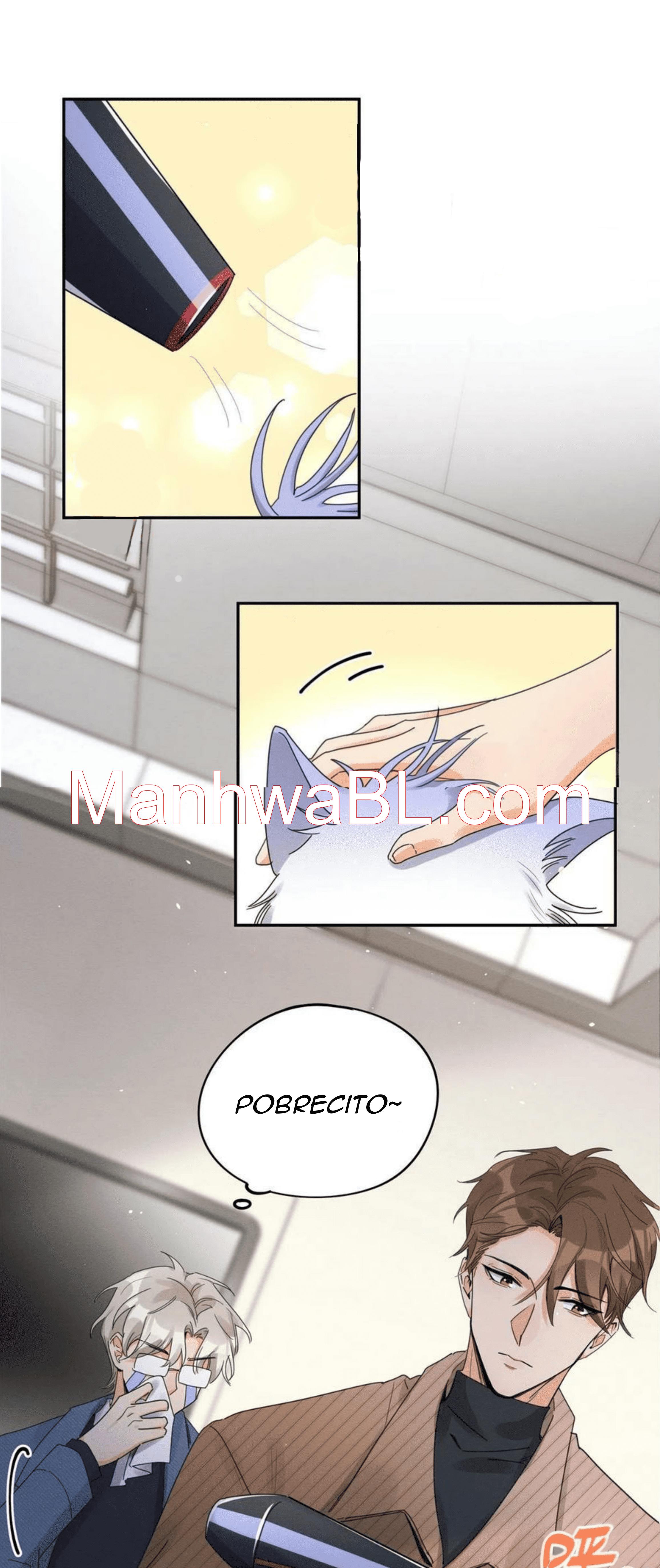 Tengo que trabajar duro para ser un gato hoy! - capitulo 13 manhwa