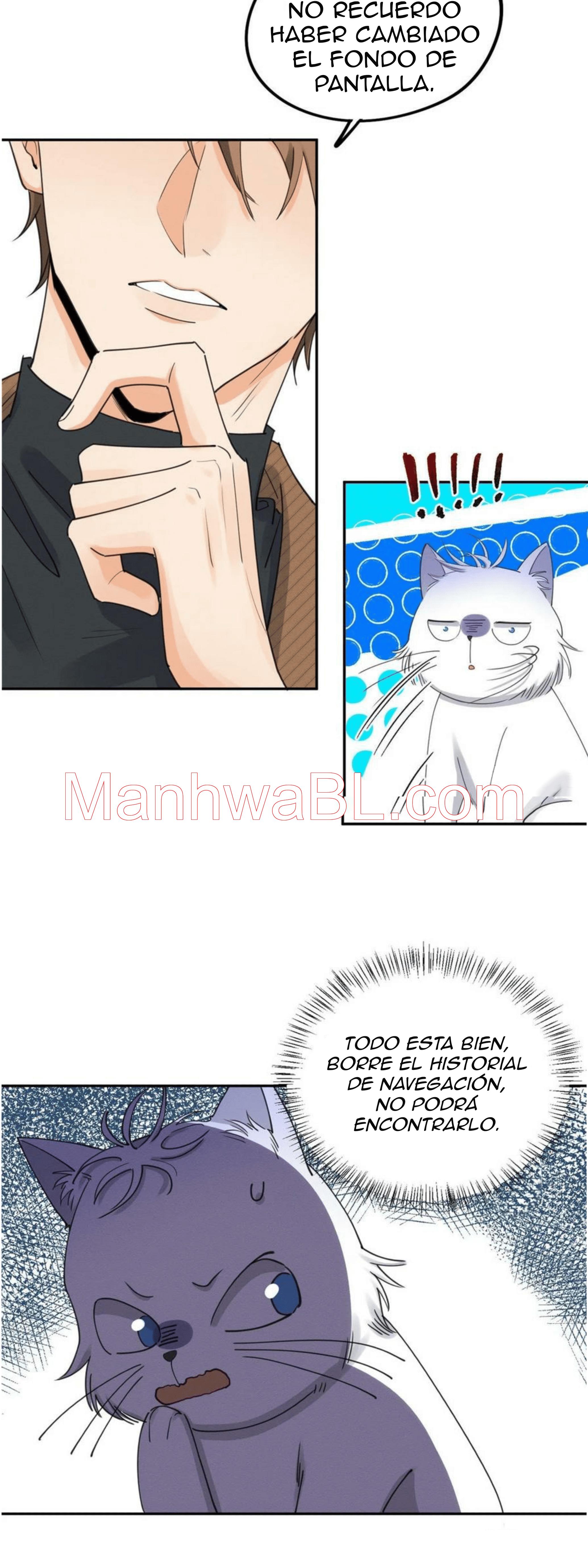 Tengo que trabajar duro para ser un gato hoy! - capitulo 13 manhwa