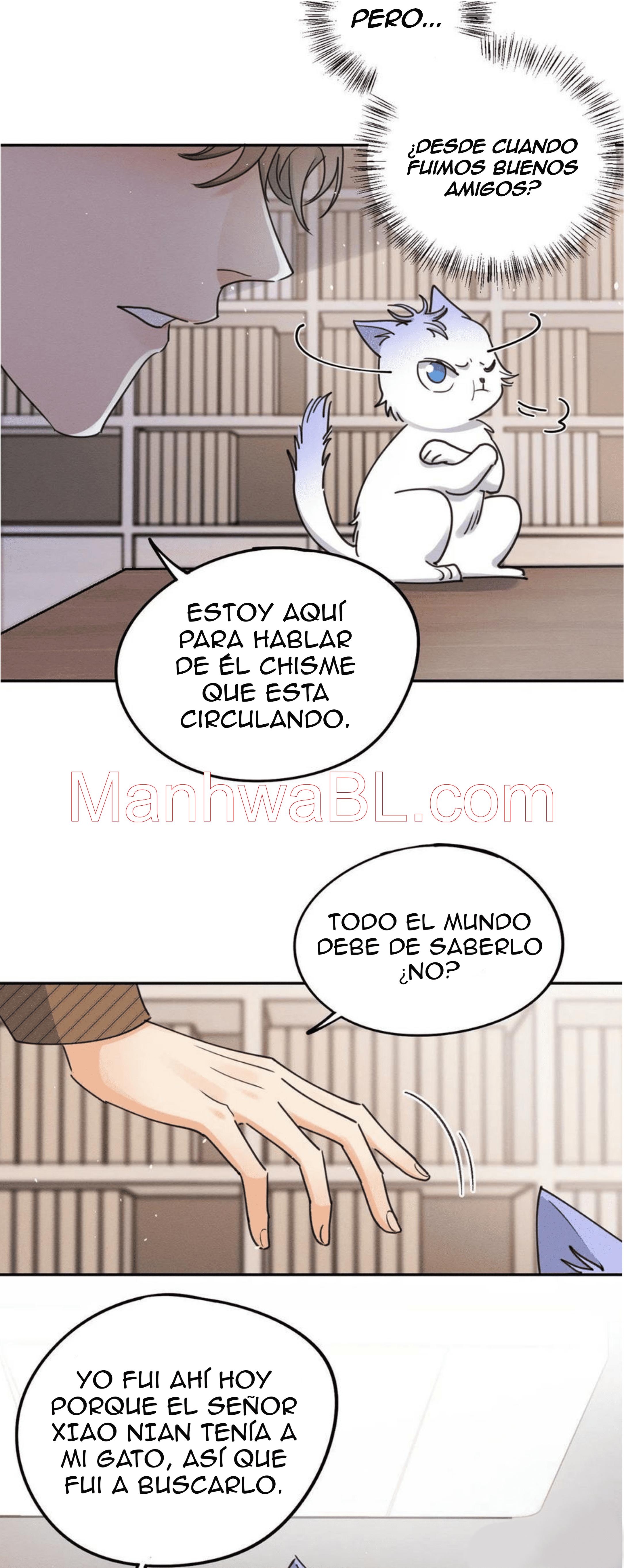 Tengo que trabajar duro para ser un gato hoy! - capitulo 13 manhwa