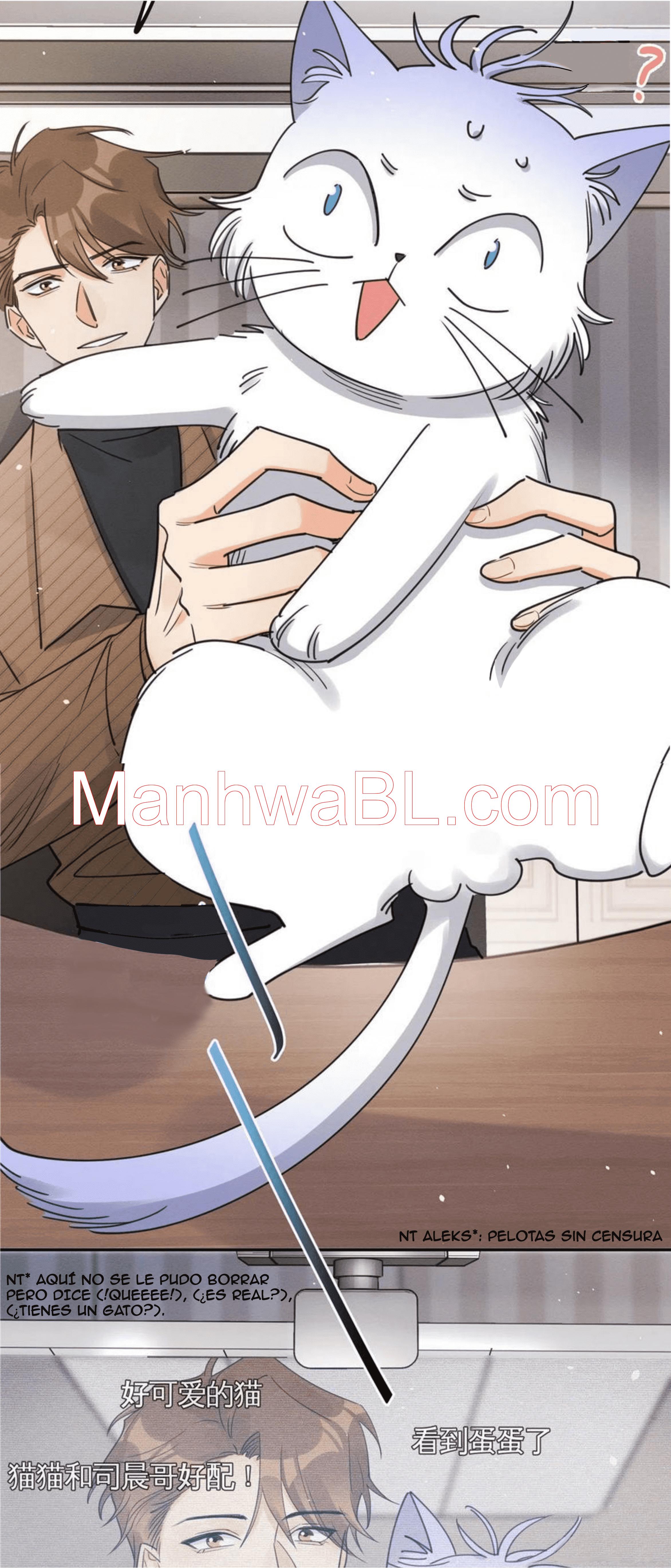 Tengo que trabajar duro para ser un gato hoy! - capitulo 13 manhwa