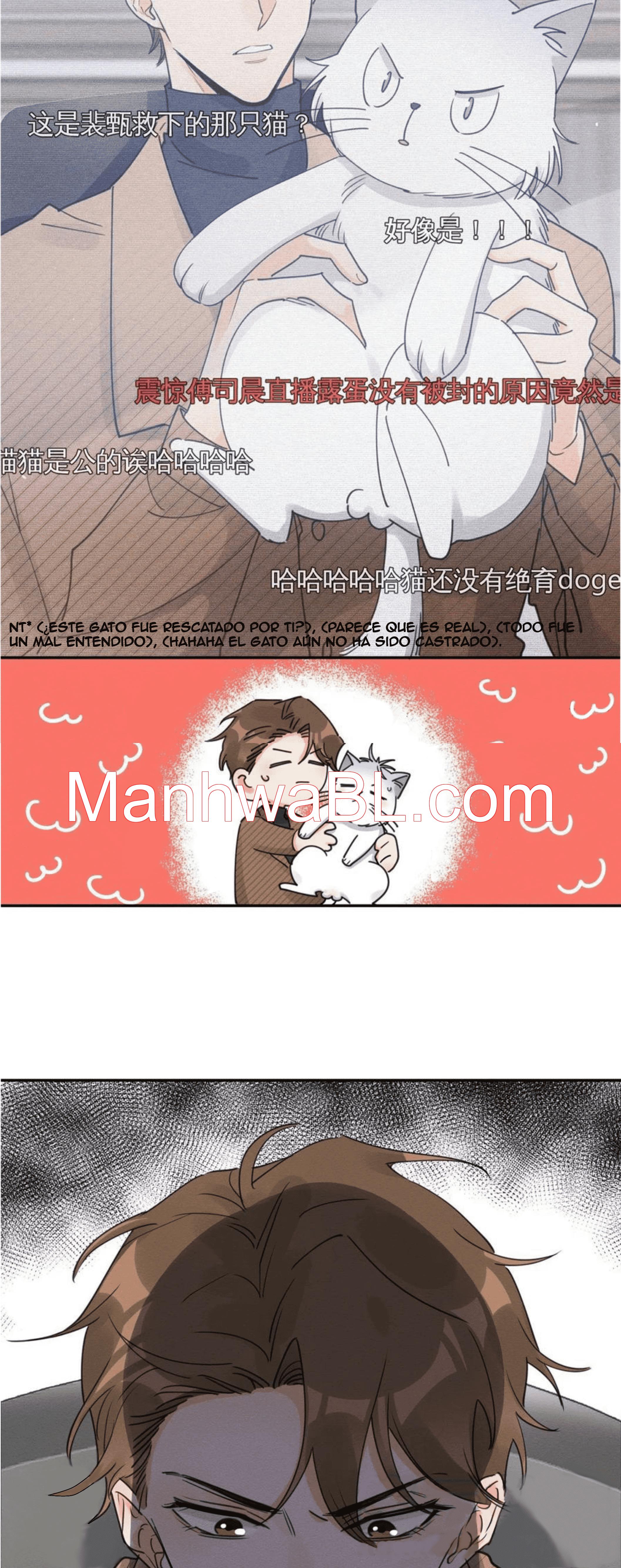 Tengo que trabajar duro para ser un gato hoy! - capitulo 13 manhwa