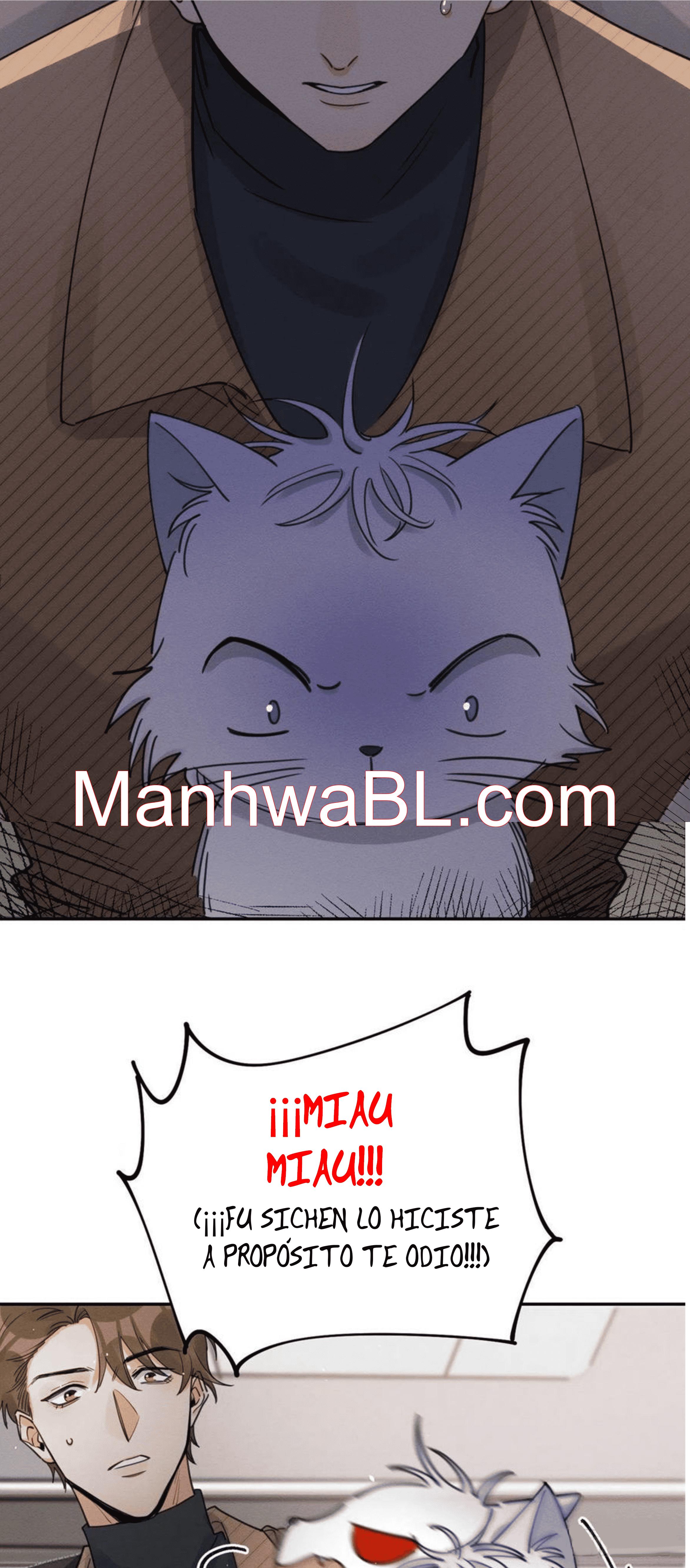 Tengo que trabajar duro para ser un gato hoy! - capitulo 13 manhwa