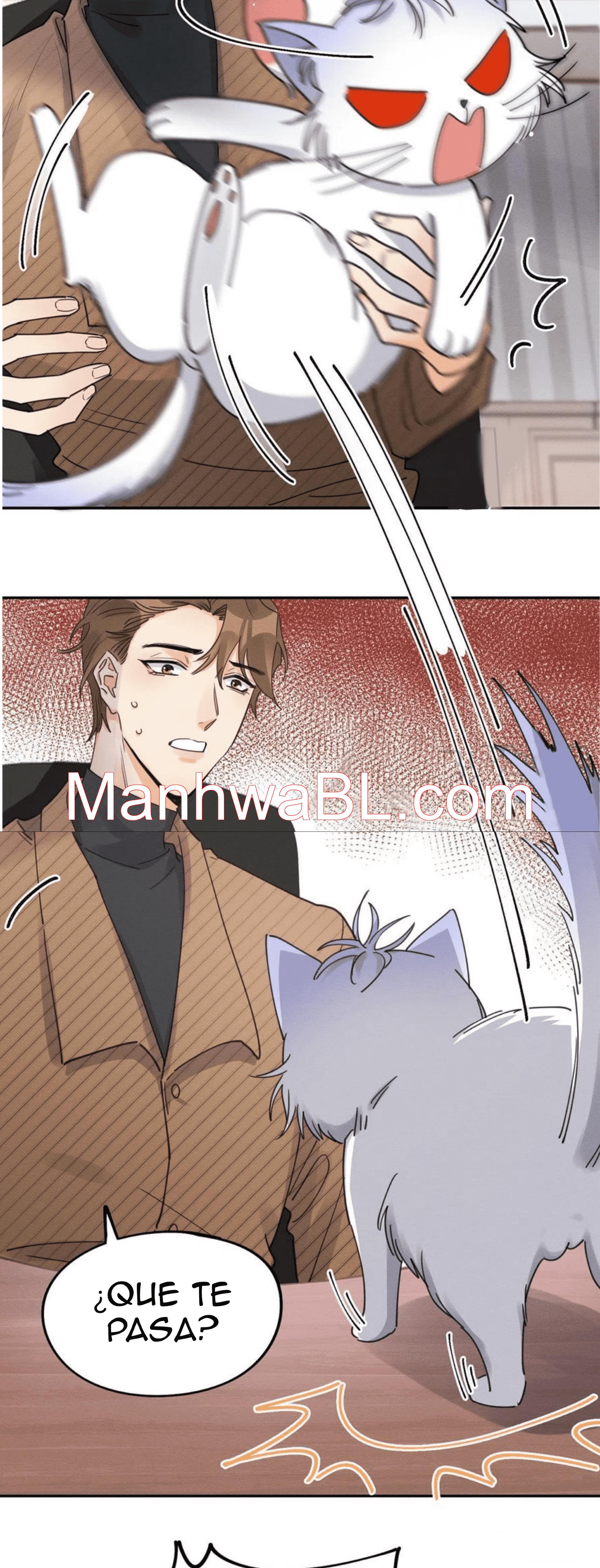 Tengo que trabajar duro para ser un gato hoy! - capitulo 13 manhwa