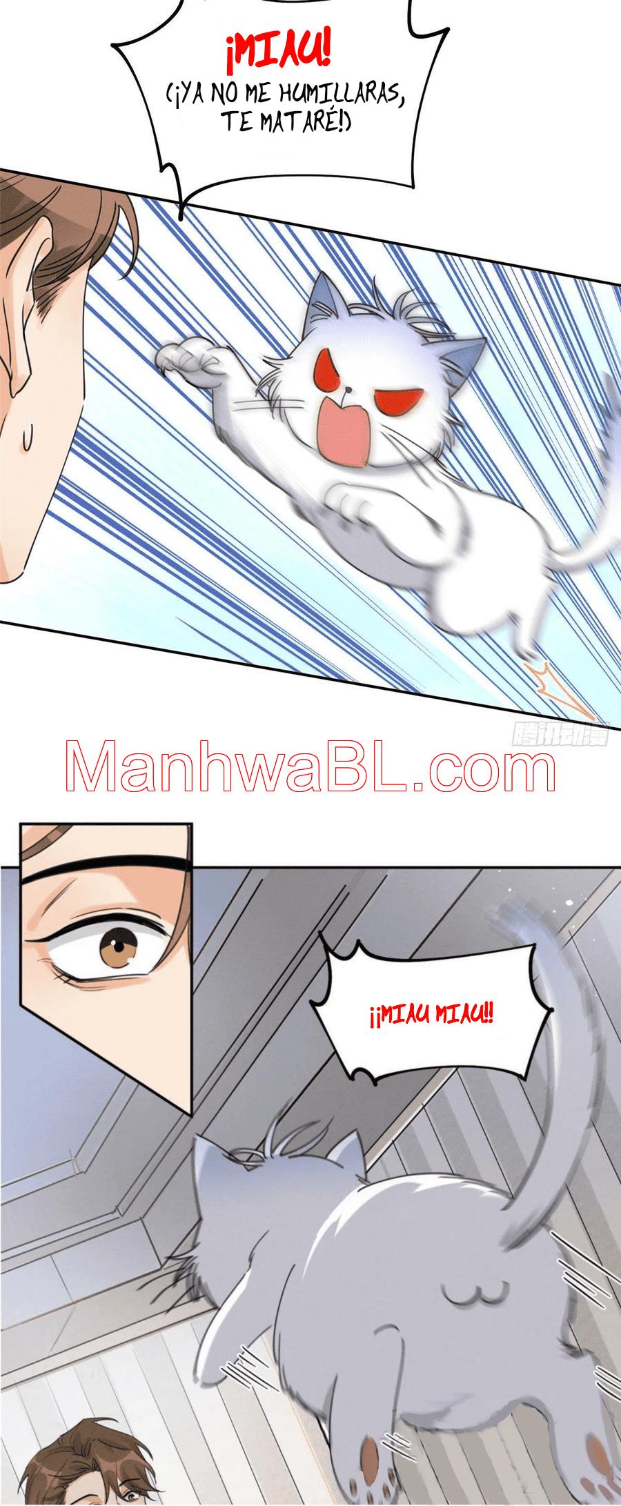Tengo que trabajar duro para ser un gato hoy! - capitulo 13 manhwa