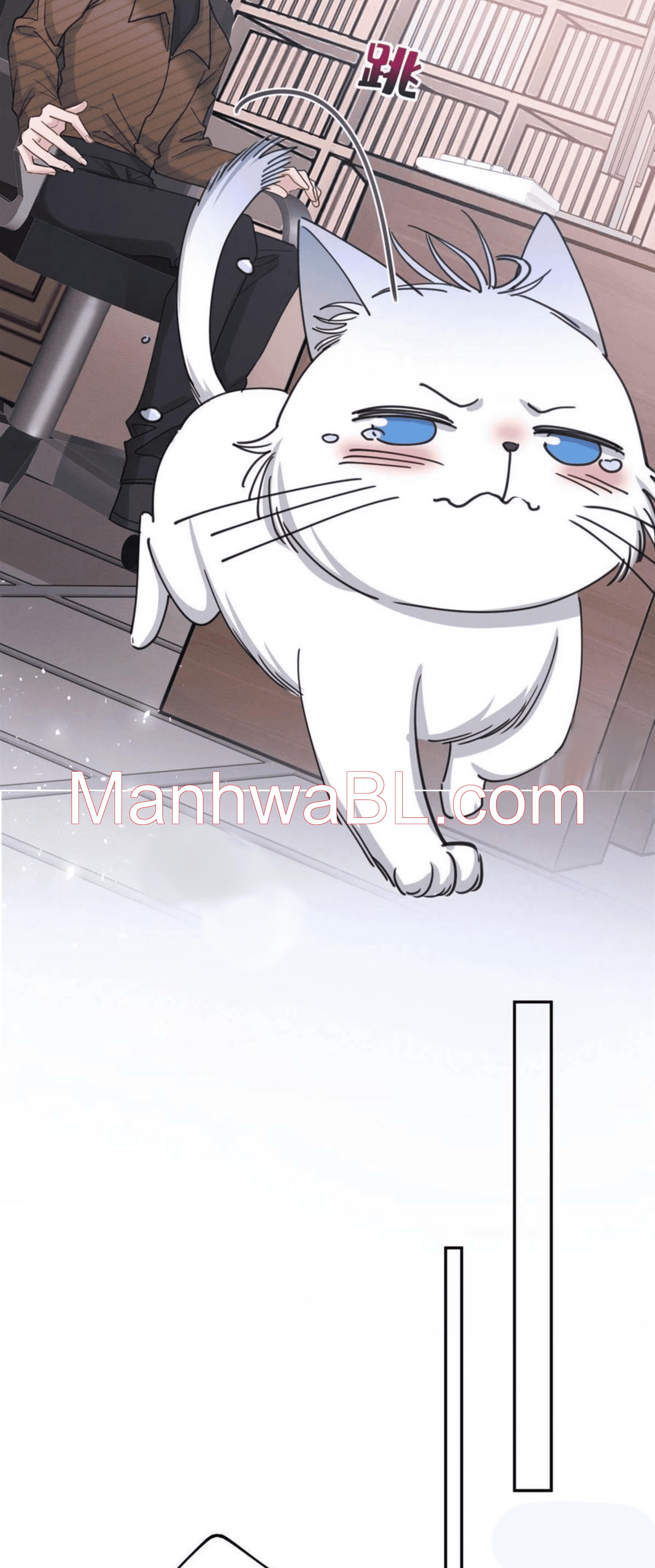 Tengo que trabajar duro para ser un gato hoy! - capitulo 13 manhwa