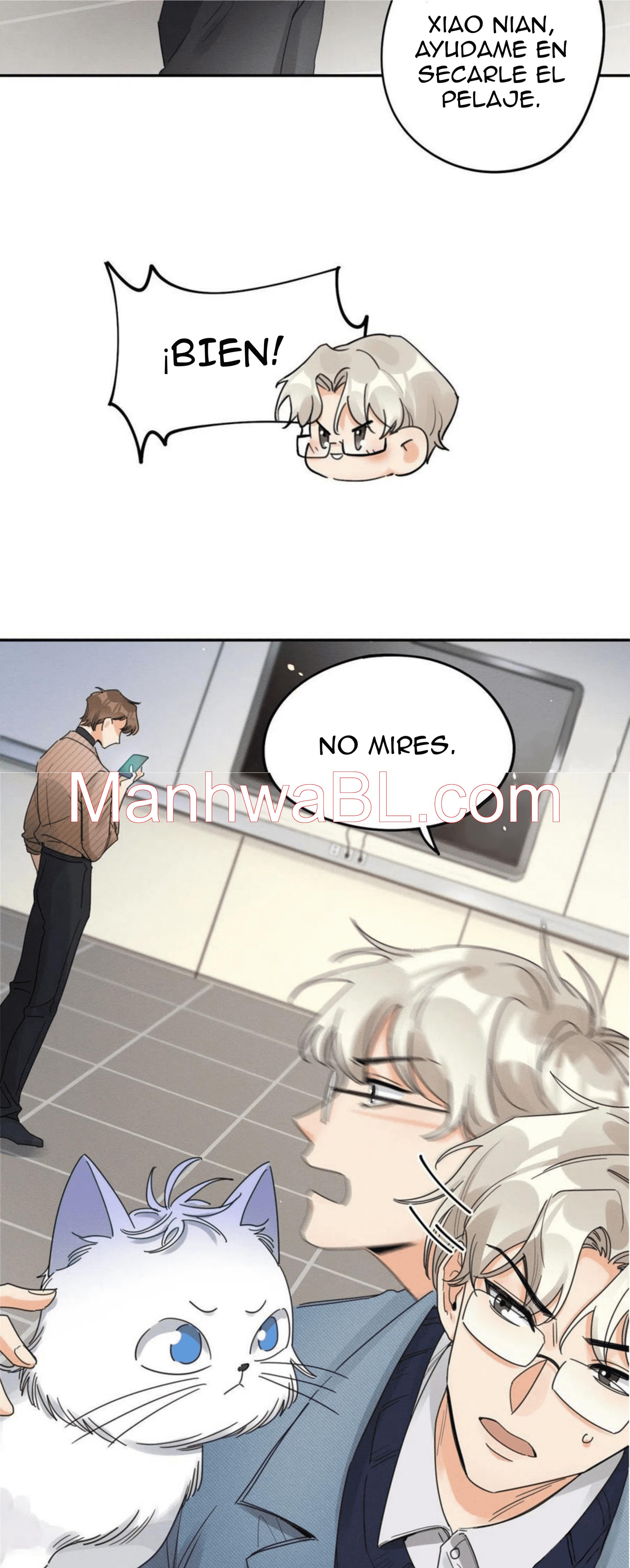 Tengo que trabajar duro para ser un gato hoy! - capitulo 13 manhwa