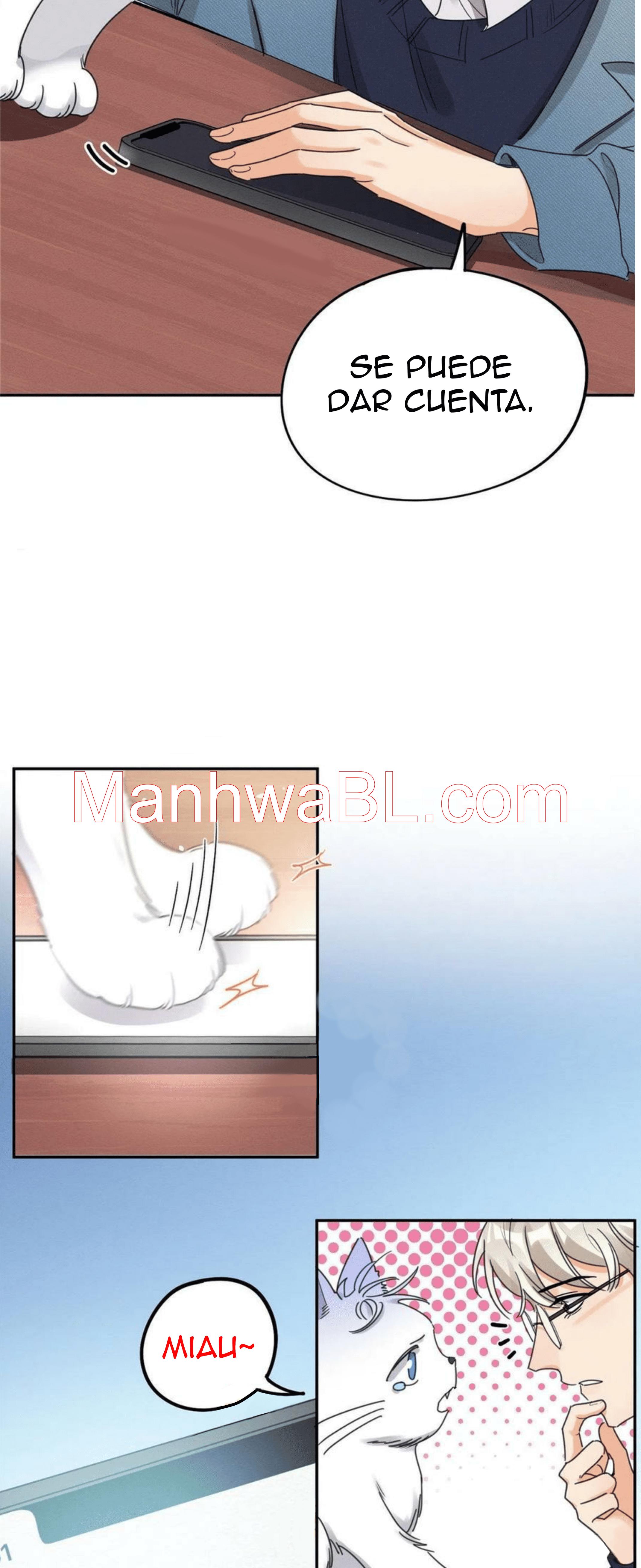 Tengo que trabajar duro para ser un gato hoy! - capitulo 13 manhwa