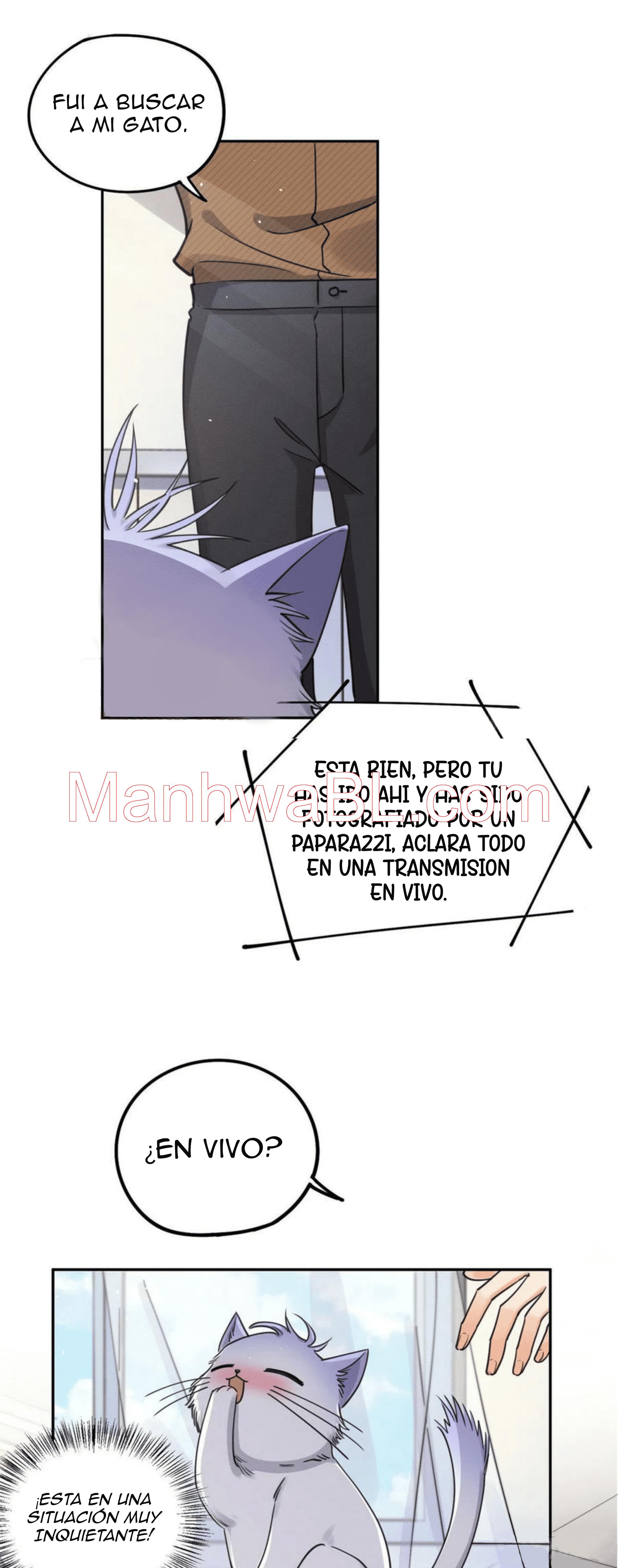 Tengo que trabajar duro para ser un gato hoy! - capitulo 13 manhwa