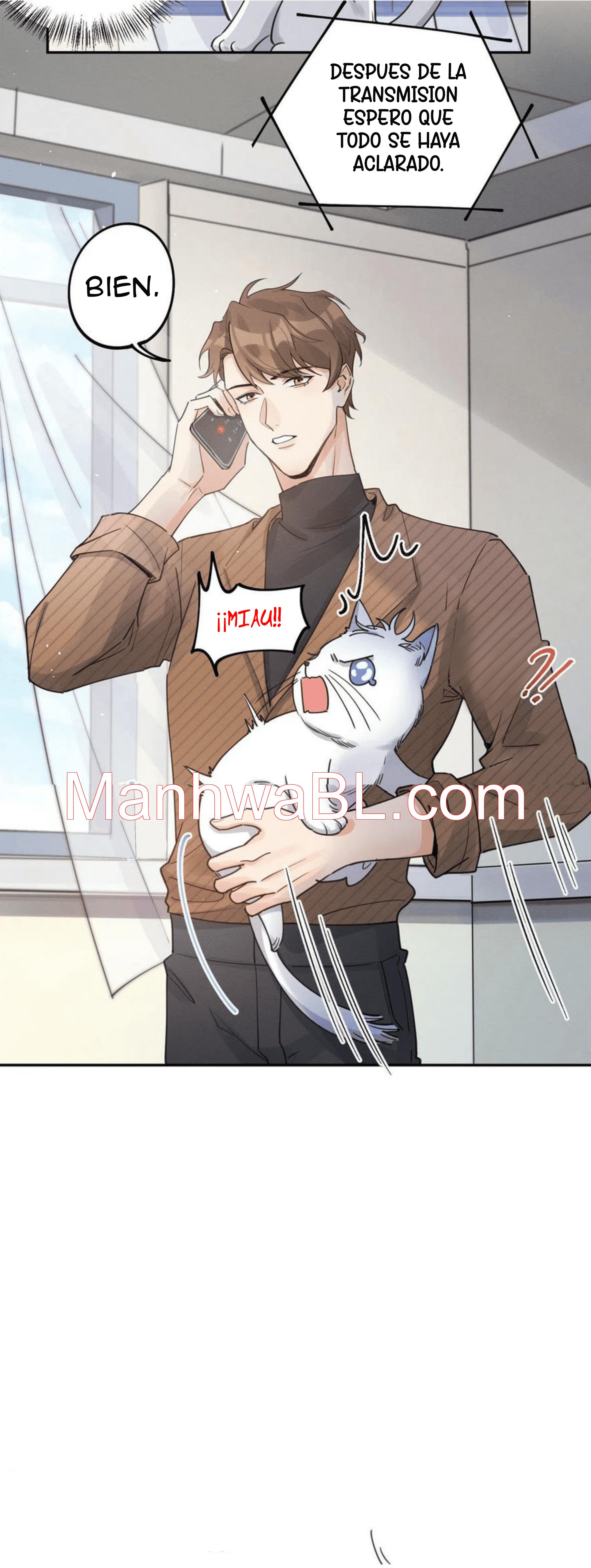 Tengo que trabajar duro para ser un gato hoy! - capitulo 13 manhwa