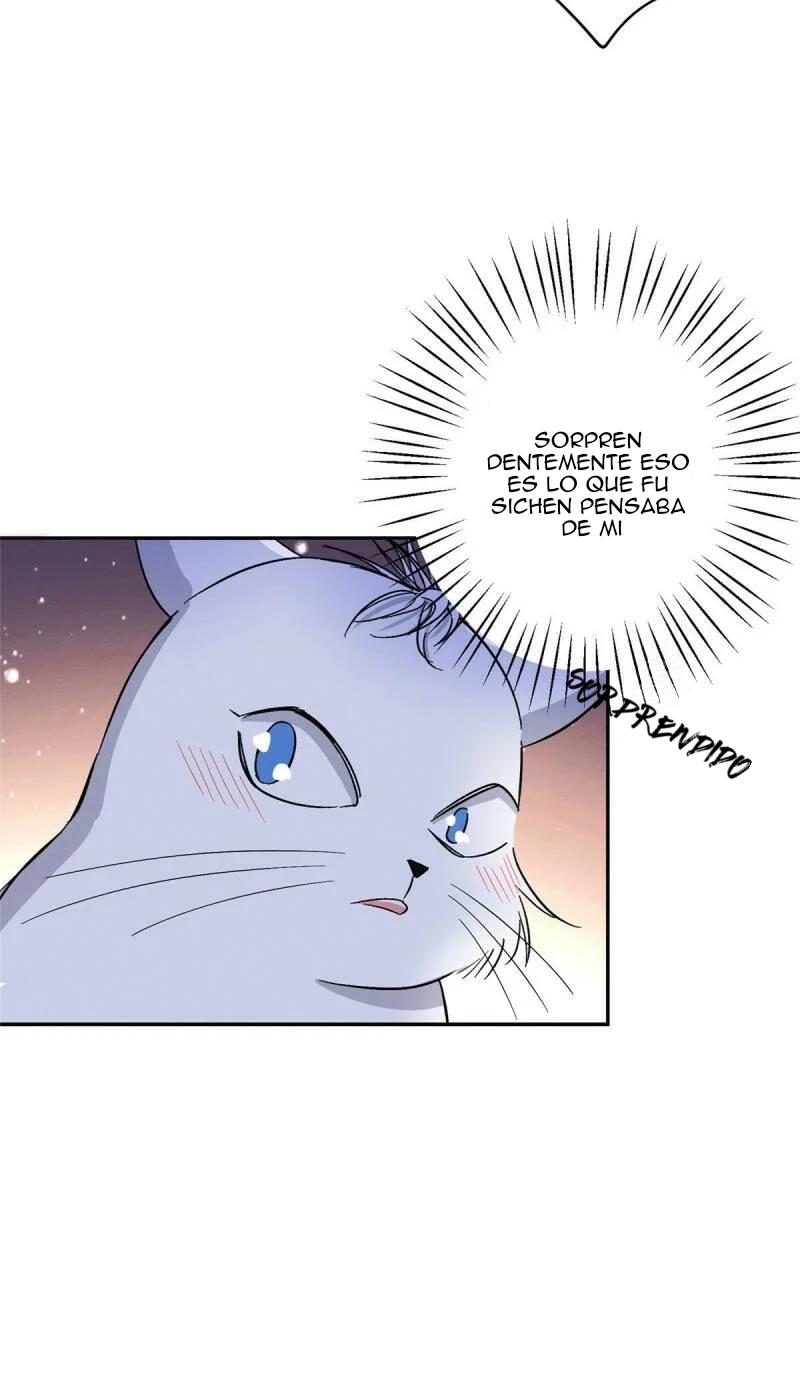 Tengo que trabajar duro para ser un gato hoy! - capitulo 32 manhwa