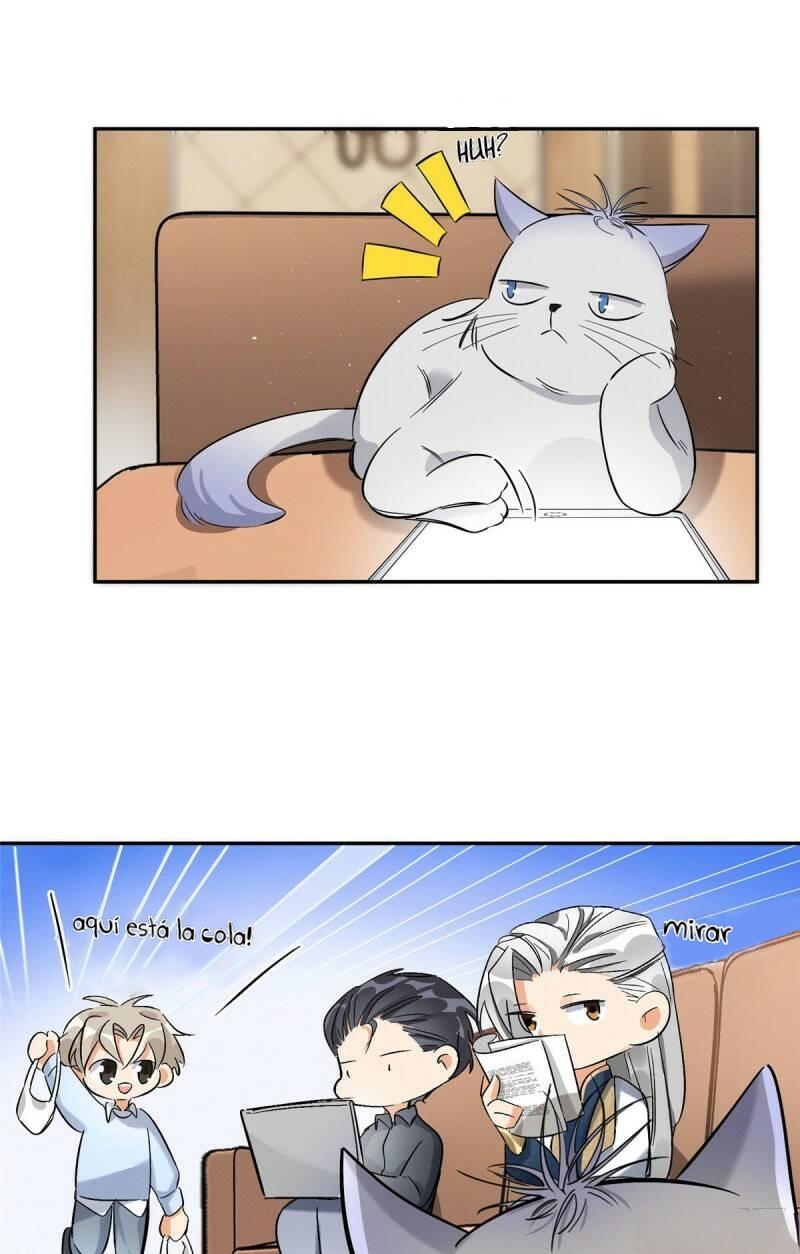 Tengo que trabajar duro para ser un gato hoy! - capitulo 32 manhwa