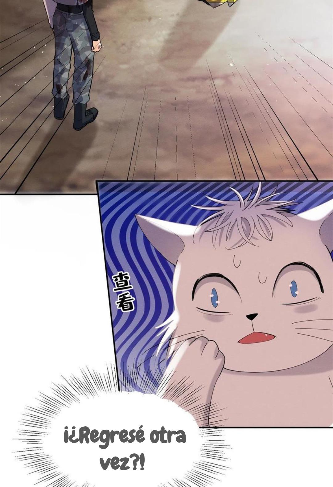 Tengo que trabajar duro para ser un gato hoy! - capitulo 53 manhwa
