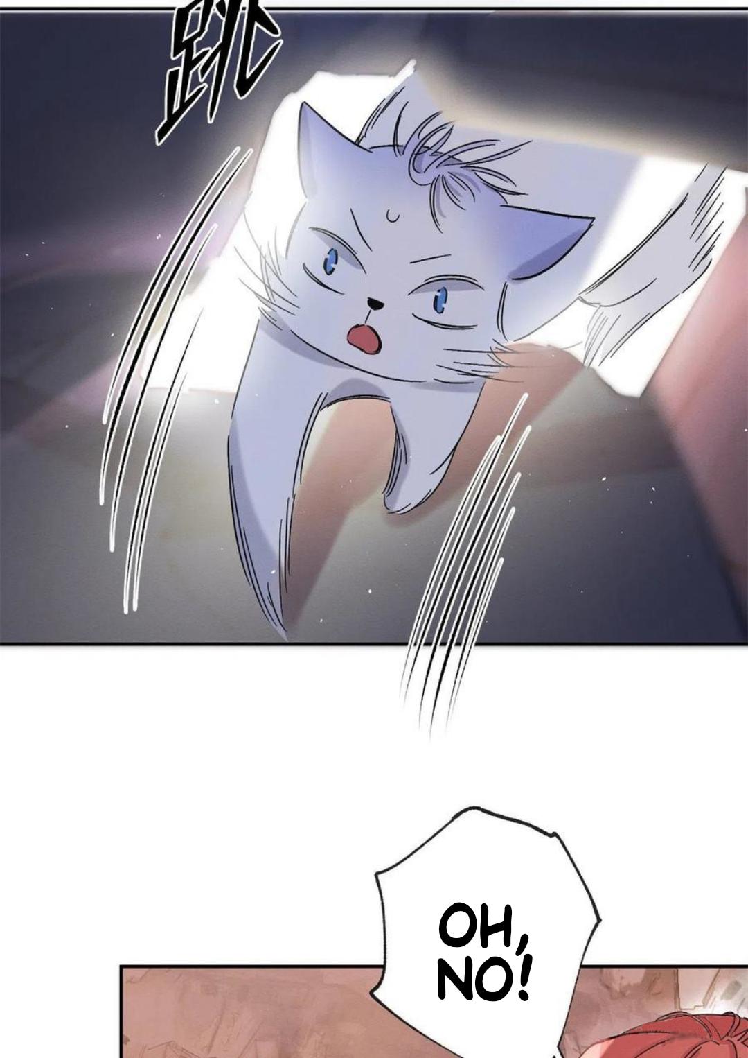 Tengo que trabajar duro para ser un gato hoy! - capitulo 53 manhwa