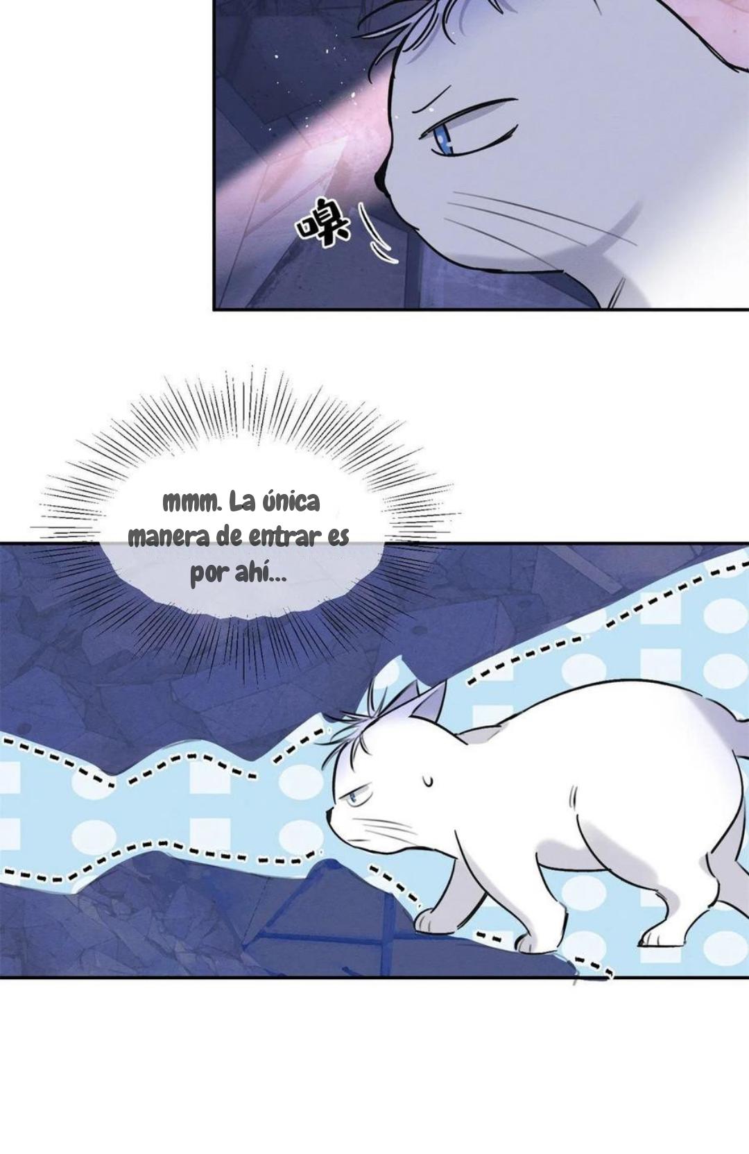 Tengo que trabajar duro para ser un gato hoy! - capitulo 53 manhwa