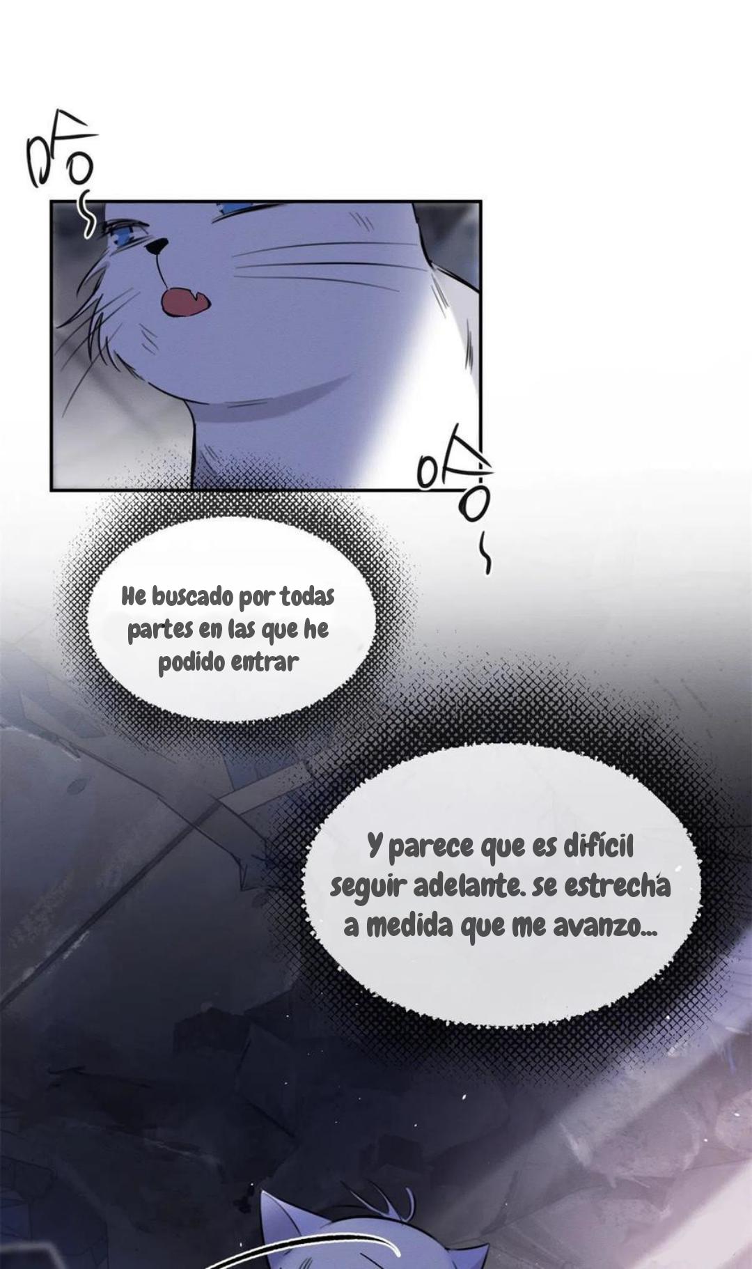 Tengo que trabajar duro para ser un gato hoy! - capitulo 53 manhwa