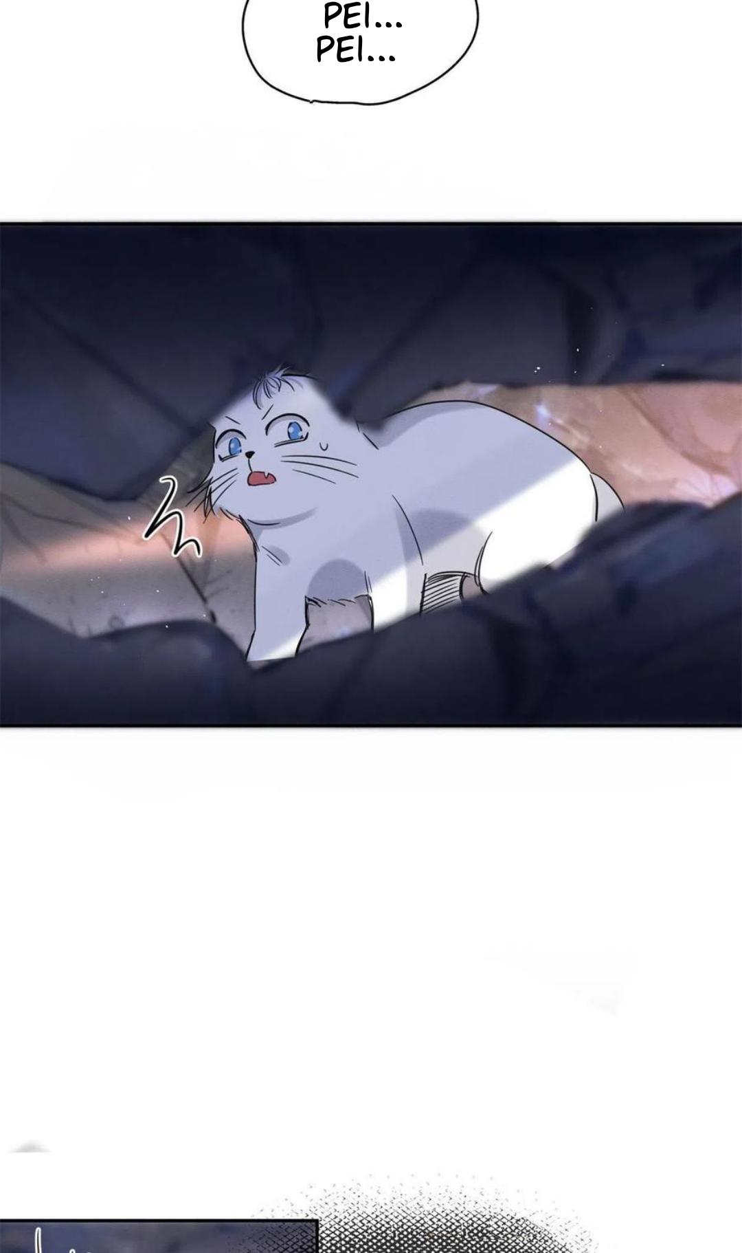 Tengo que trabajar duro para ser un gato hoy! - capitulo 53 manhwa