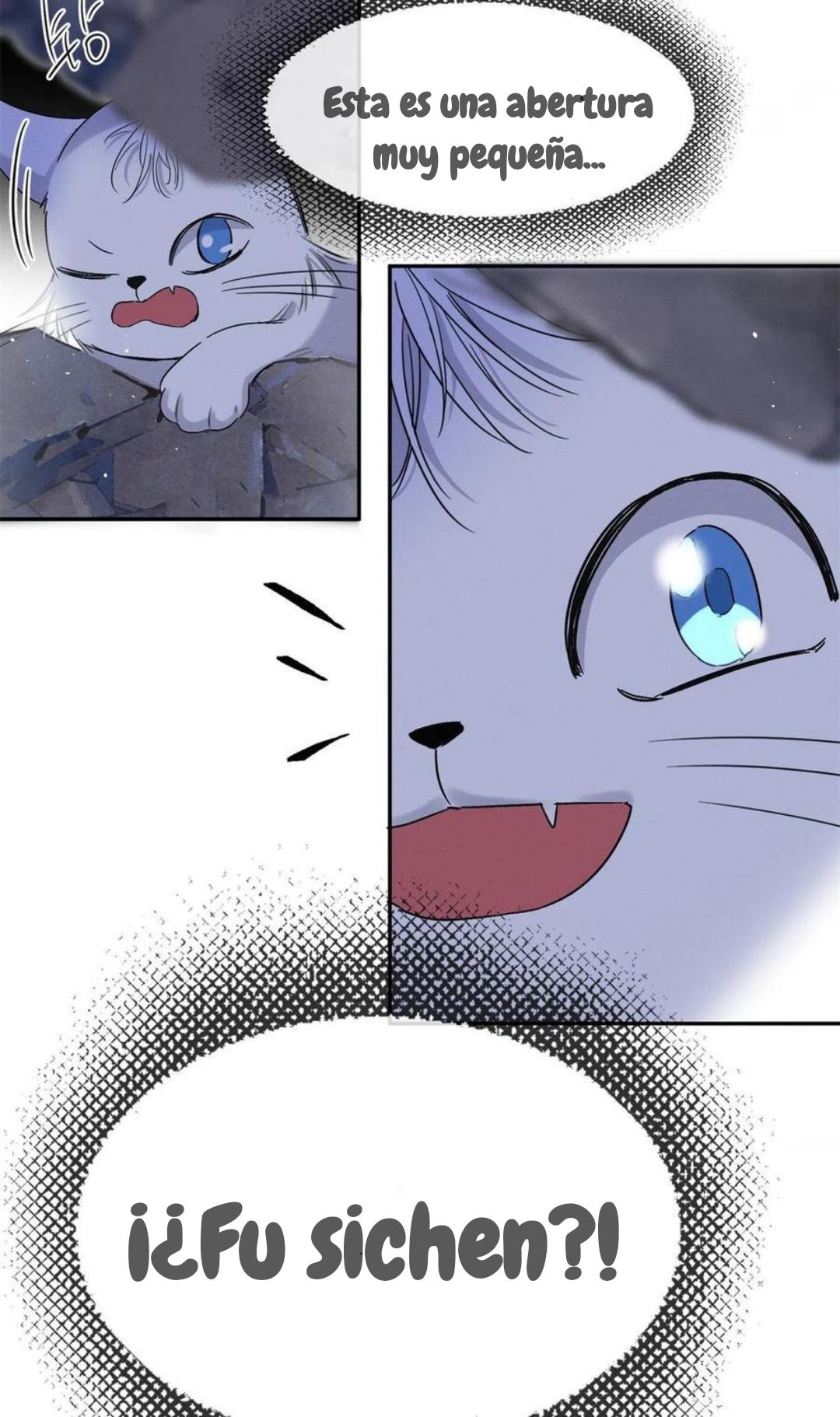 Tengo que trabajar duro para ser un gato hoy! - capitulo 53 manhwa