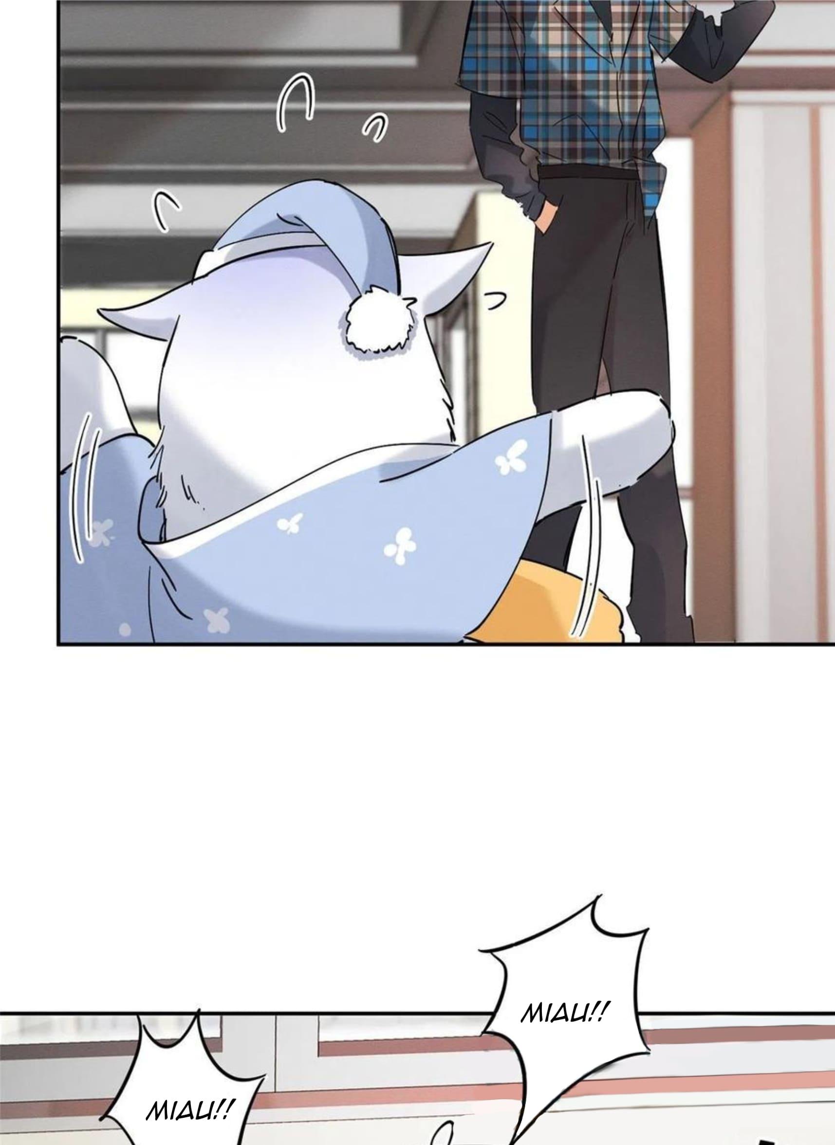 Tengo que trabajar duro para ser un gato hoy! - capitulo 20 manhwa